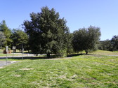Enlarge photo 84