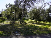 Enlarge photo 101