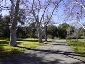 Enlarge photo 102