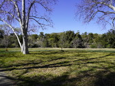 Enlarge photo 103