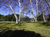 Enlarge photo 104