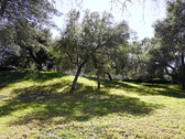 Enlarge photo 108