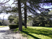 Enlarge photo 109