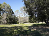 Enlarge photo 111