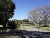 Enlarge photo 113
