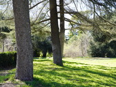 Enlarge photo 112
