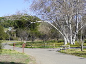Enlarge photo 116