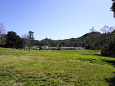 Enlarge photo 117