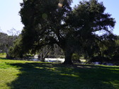 Enlarge photo 118