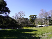 Enlarge photo 119