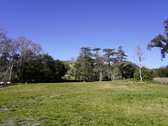 Enlarge photo 121