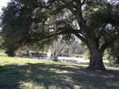 Enlarge photo 120