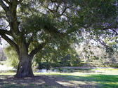 Enlarge photo 124
