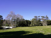 Enlarge photo 126
