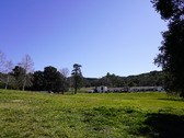 Enlarge photo 128