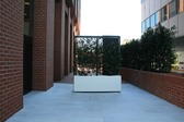 Enlarge photo 29