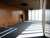 Enlarge photo 173