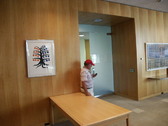 Enlarge photo 159