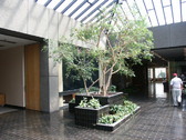 Enlarge photo 149