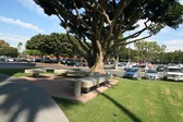 Enlarge photo 126
