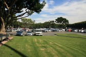 Enlarge photo 127