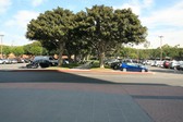Enlarge photo 128