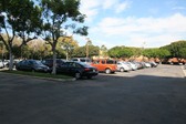 Enlarge photo 130