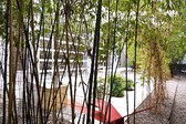 Enlarge photo 51