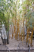 Enlarge photo 56