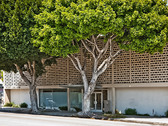 Enlarge photo 40