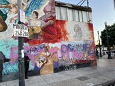Enlarge photo 49