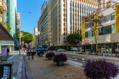 Enlarge photo 63