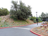 Enlarge photo 102