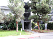 Enlarge photo 49