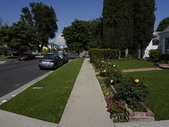 Enlarge photo 74