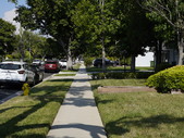 Enlarge photo 82