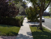 Enlarge photo 29