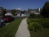 Enlarge photo 41