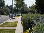 Enlarge photo 61