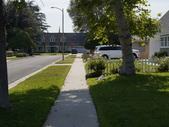 Enlarge photo 65