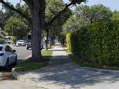 Enlarge photo 35