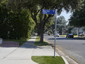 Enlarge photo 39