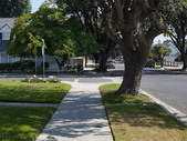 Enlarge photo 48