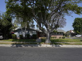 Enlarge photo 50