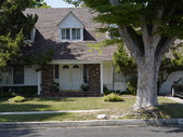 Enlarge photo 44