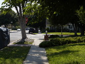 Enlarge photo 59