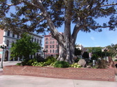 Enlarge photo 1