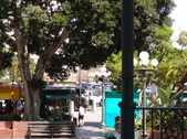 Enlarge photo 19