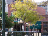 Enlarge photo 28