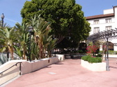 Enlarge photo 54